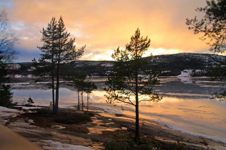 Peaceful And Scandinavian-Style Guesthouse With Scenic Nature And Seaview In High Coast Domsjo Exterior foto